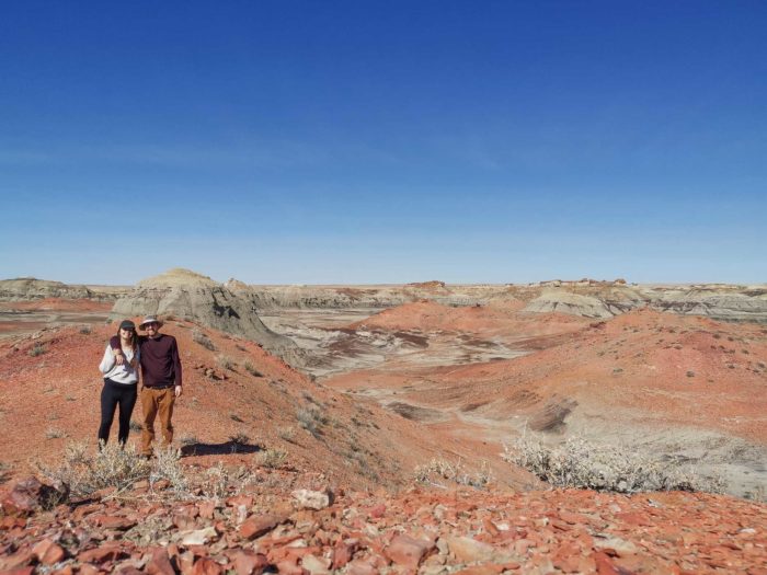 Sud-ouest des États-Unis : Bisti Badlands