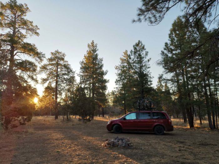 Kaibab Forest near the Grand Canyon