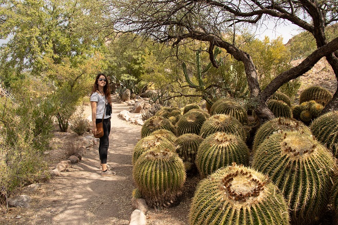 Boyce Thompson Arboretum, Arizona