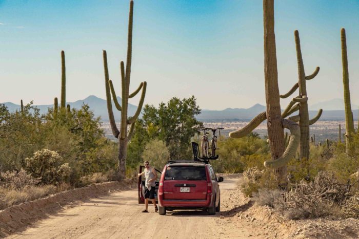 Saguaro national park