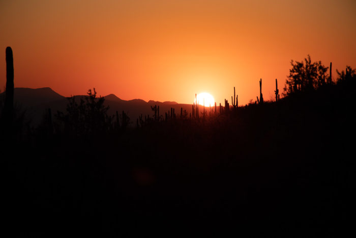 sunset in arizona
