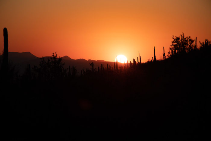 coucher de soleil 
