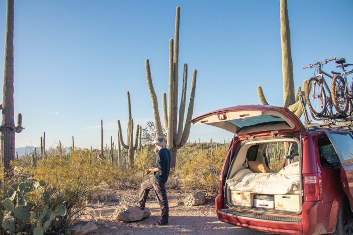 Saguaro, Arizona