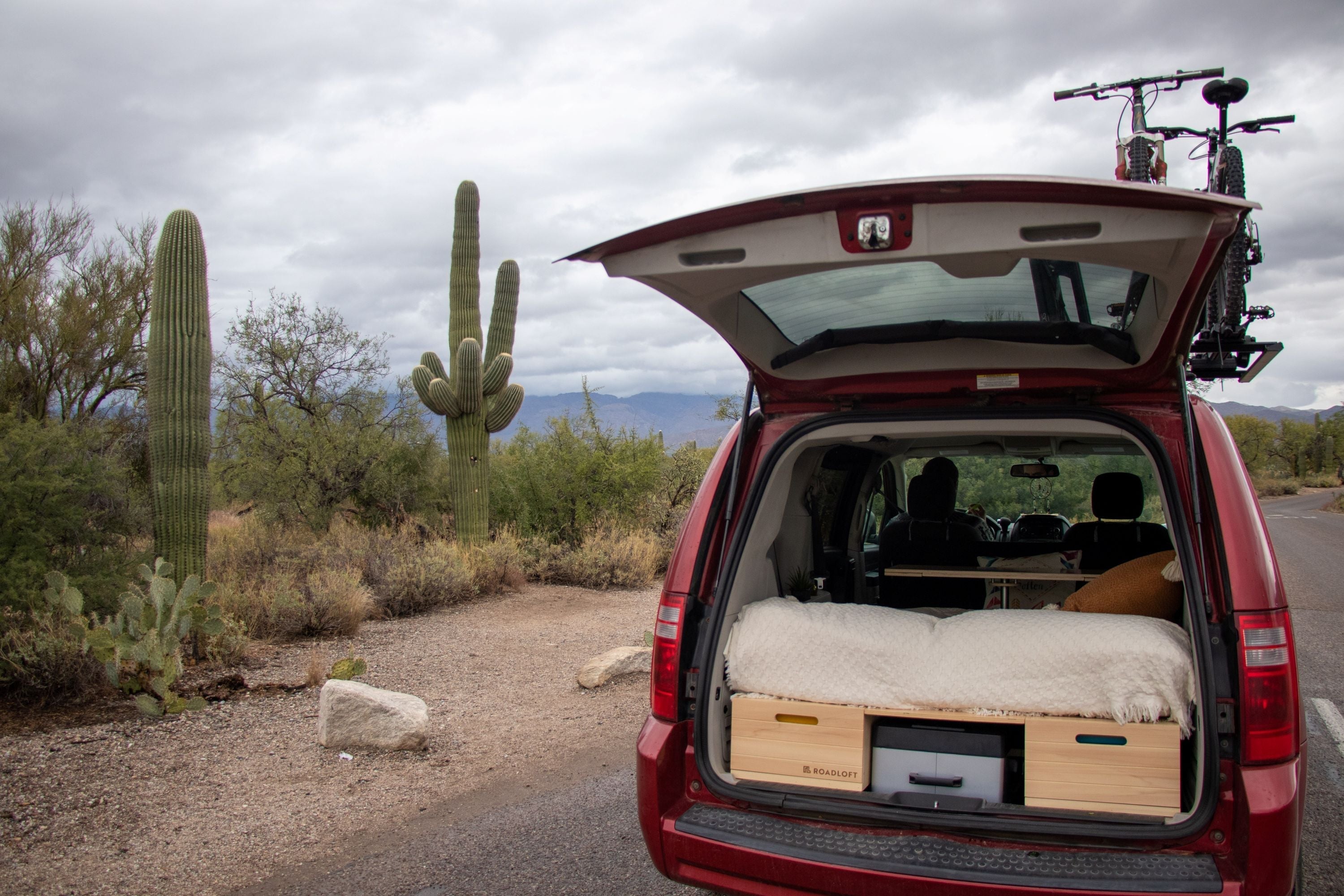 Sud-Ouest des USA: À la découverte des cactus géants du Sud de l’Arizona!