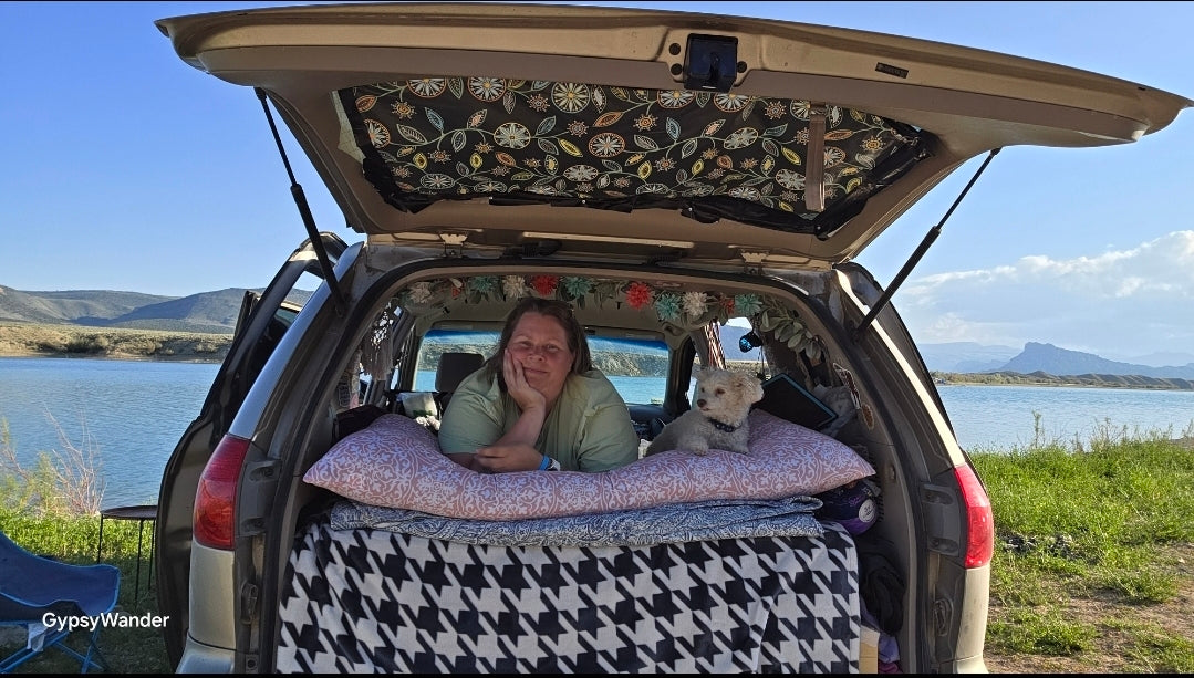 toyota sienna camper conversion