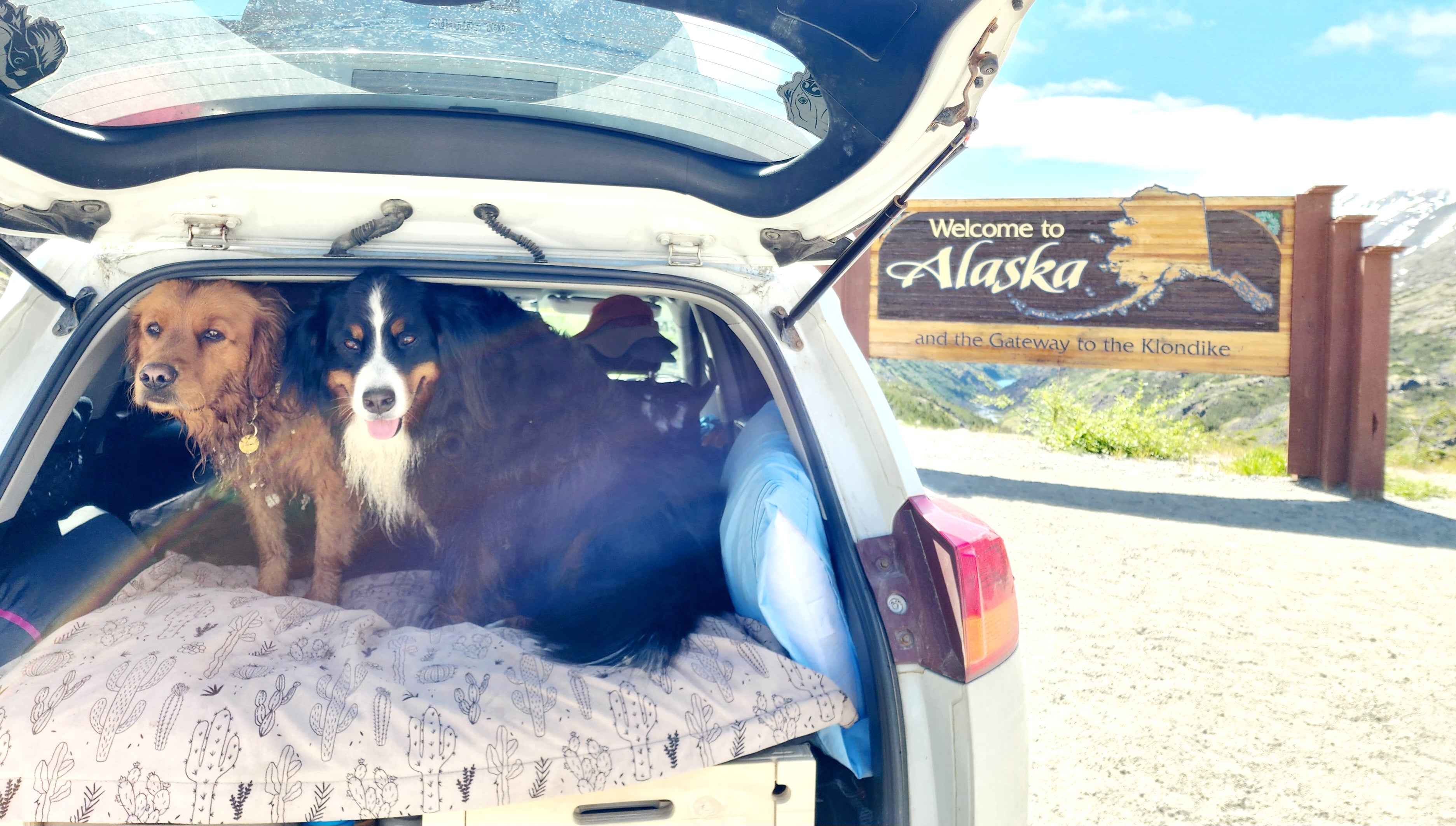 suv camper conversion kit