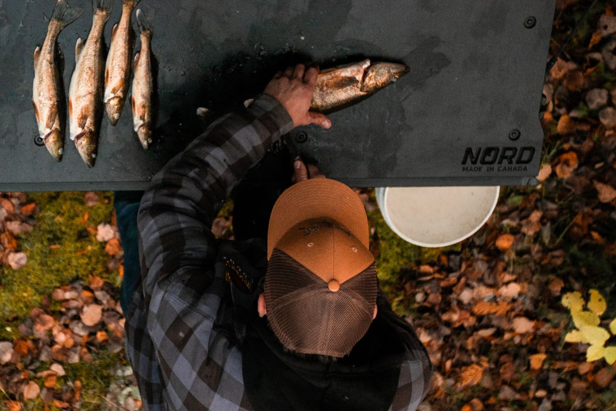 Tailgate insert NORD for pickup