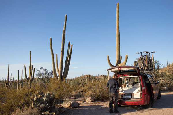 Southwestern USA : Discover the Giant Cacti of Southern Arizona