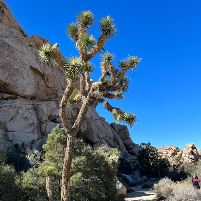 Retirees' Roadloft Road Trip in California and Arizona