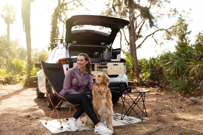 Traveling with a pet in the Roadloft camper kit, providing a safe environment.