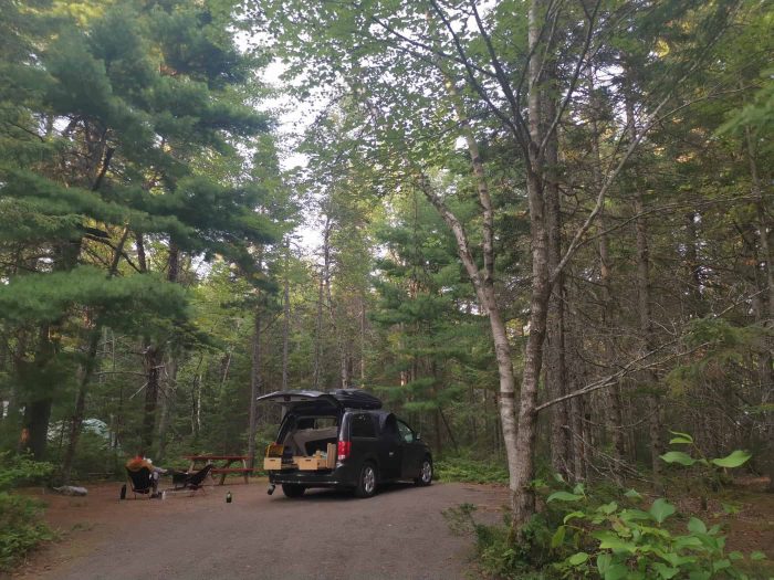 Is It Legal to Sleep in Your Vehicle? Discover Vanlife-Friendly Areas