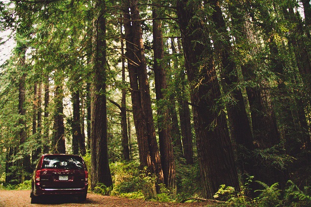 Most Important Minivan Characteristics For Its Conversion